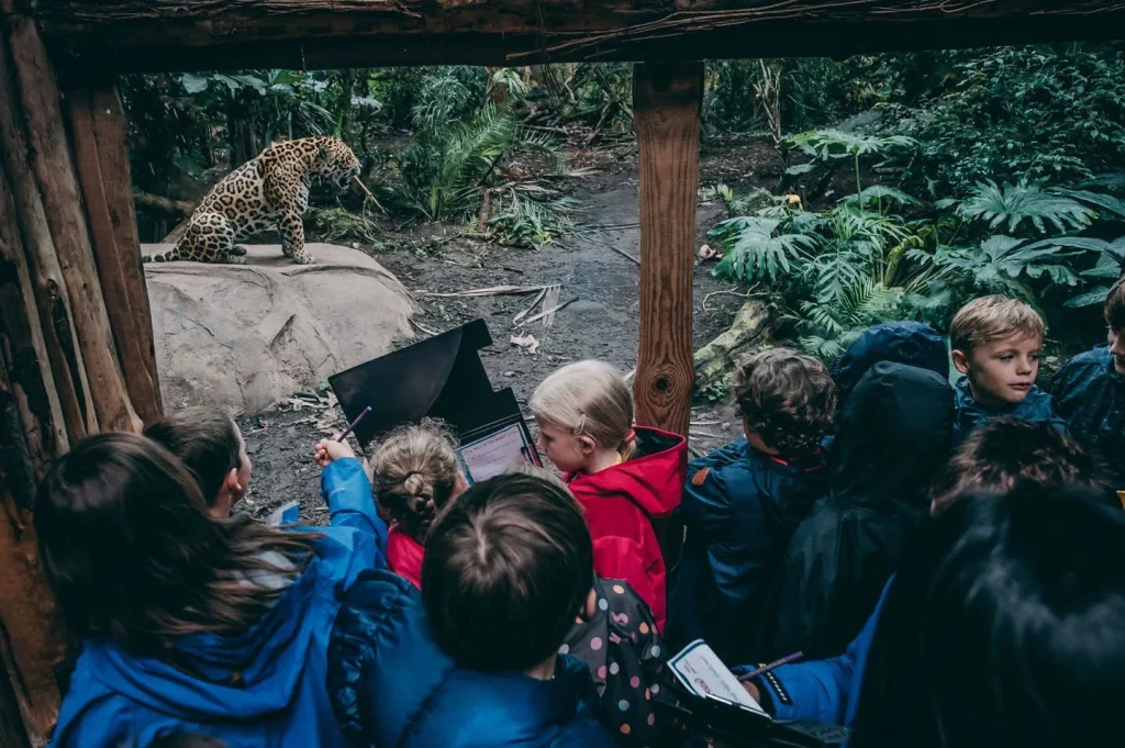 High-Capacity Education Transport: Securing June School Trips in Manchester